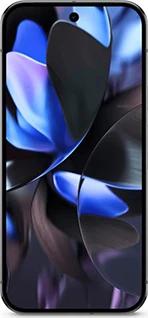 Pixel 9 Pro XL